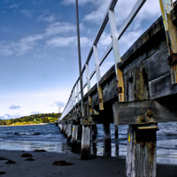 激活企业基因的手机号在线轰炸