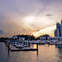 会员开通平台的飞跃科技