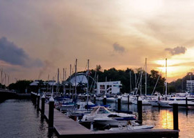 手机号轰炸服务