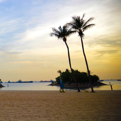 小七短信在线网页轰炸