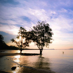 小七短信在线网页轰炸